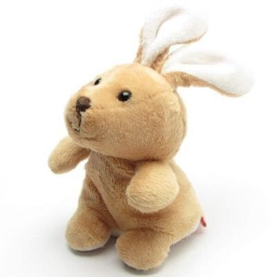 Lapin Schmoozies XXL - nettoyant présentoir - dessous microfibre