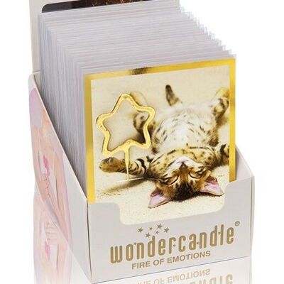 Golden Polaroid Assortment Mini Wondercard