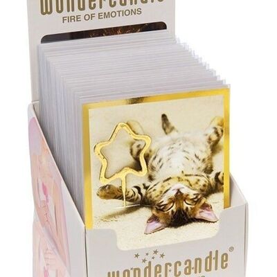 Golden Polaroid Assortiment Mini Wondercard