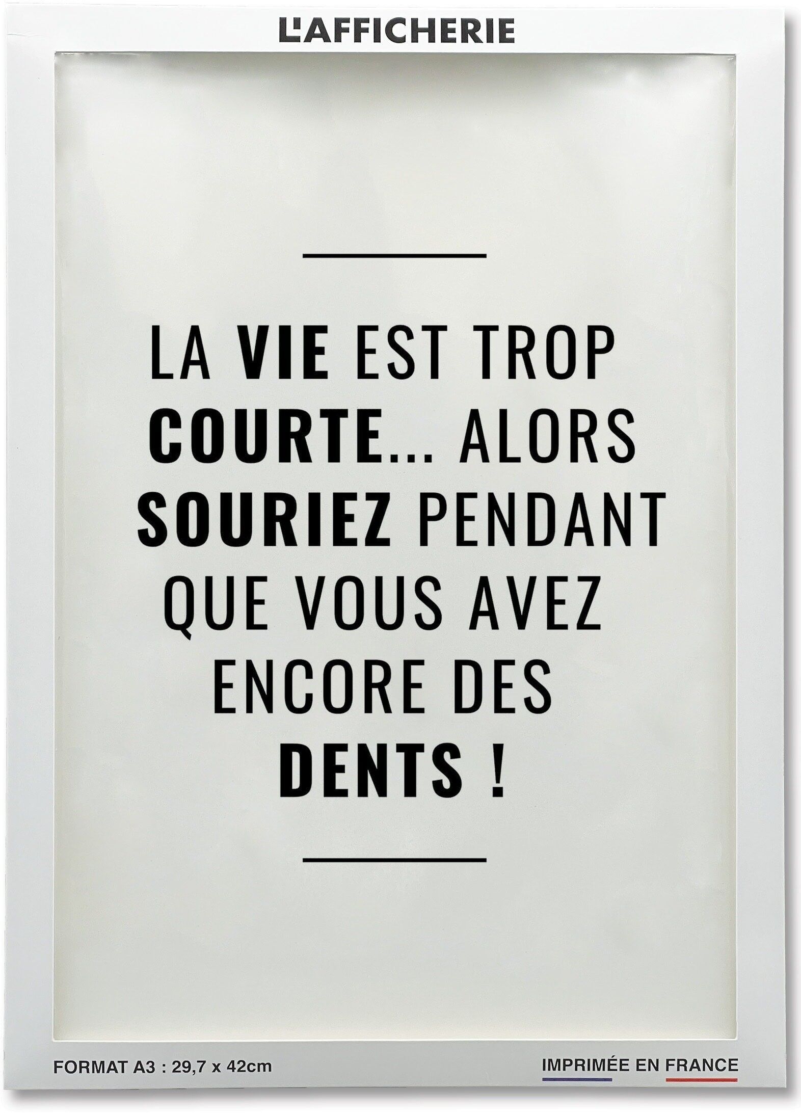 Achat Affiche La vie est trop courte en gros