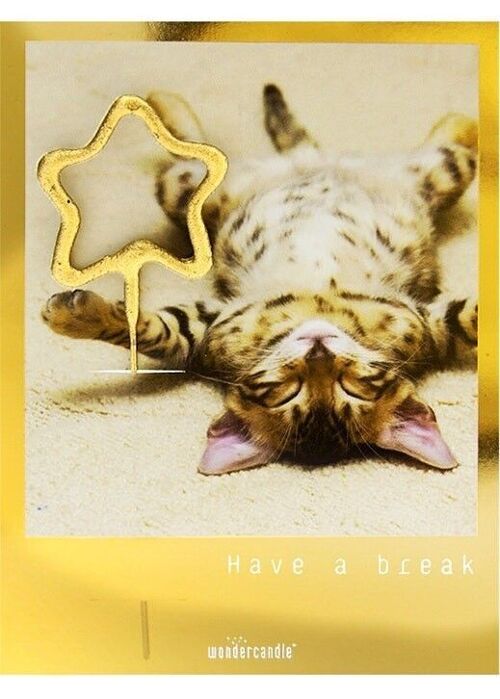 Have a break Golden Polaroid Mini Wondercard