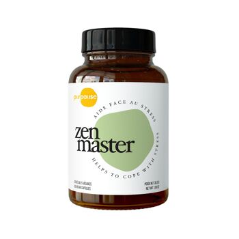 Zen Master, antistress, anti-fatigue, anti-déprime 2