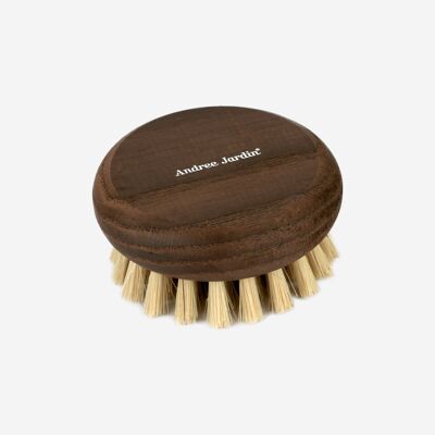 Brosse exfoliante corps