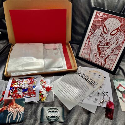 Ultimo set regalo di Spider-Man 2