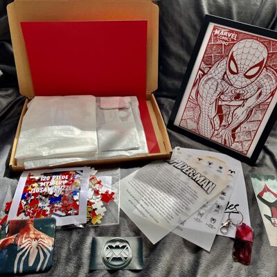 Ultimatives Spider-Man-Geschenkset 2