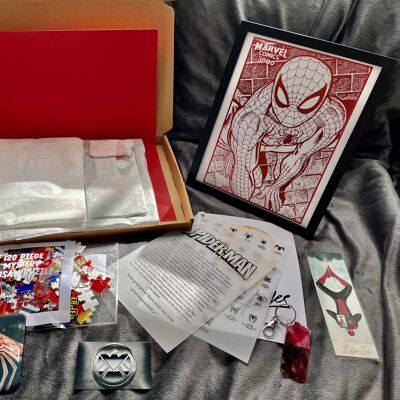 Lote de regalo Ultimate Spider-Man 2