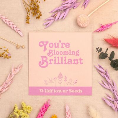 You're Blooming Brilliant Wildflower Seeds