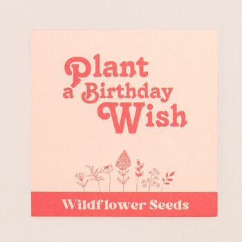 Plantez un souhait d'anniversaire graines de fleurs sauvages 1
