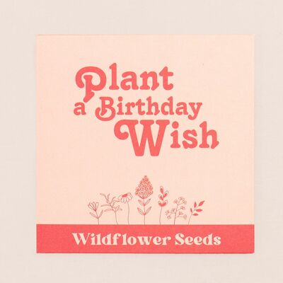 Plantez un souhait d'anniversaire graines de fleurs sauvages