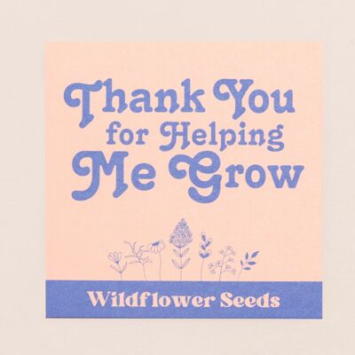 Merci de m'avoir aidé à cultiver des graines de fleurs sauvages Teacher