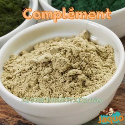 Complemento alimenticio – inmune – para perros