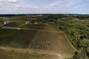 Château LA BOURREE Castillon Côtes de Bordeaux 9