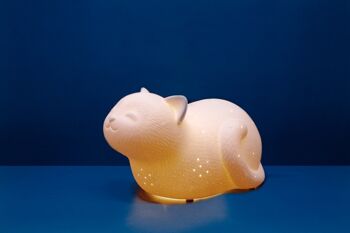 Lampe de table en porcelaine au design de chat souriant | Enfants | Veilleuse | Sculpté à la main | Parfait pour la pépinière | Finition mate en blanc 6