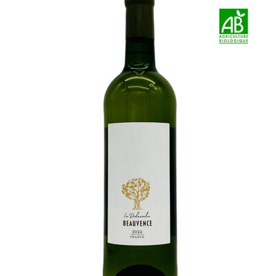 La Didascalie - 2022 - AOP Luberon, Rhône Valley, France - White Wine - 75cl
