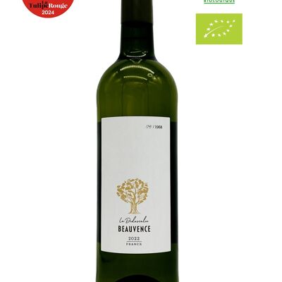 Vin Blanc - Tranquille - 75cl - 2022 - La Didascalie - AOP Luberon, Vallée du Rhône, France