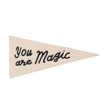 Vous êtes un fanion magique 1