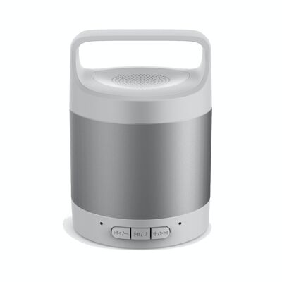 🔊 Silver Link Portable Speaker 🔊