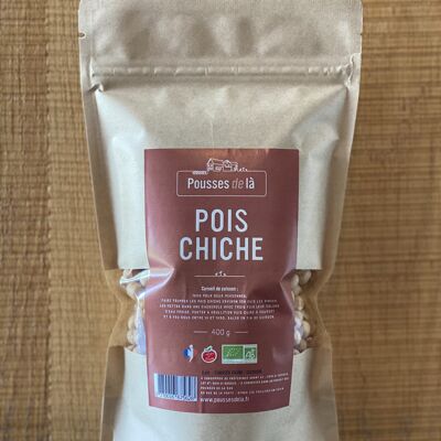 POIS CHICHE BIO 400G