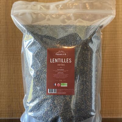 lenticchie verdi biologiche 5kg