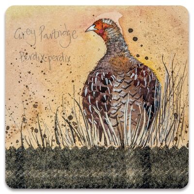 Grey partridge coaster