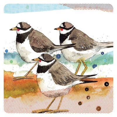 Ringed plovers coaster