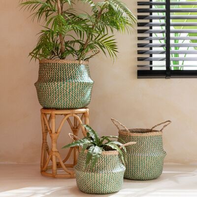 SET 3 RETRACTABLE BASKETS GREEN JONC