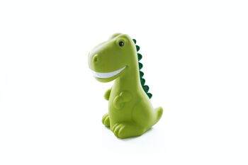 Veilleuse LED enfant Rex le dinosaure (piles) - DHINK 5