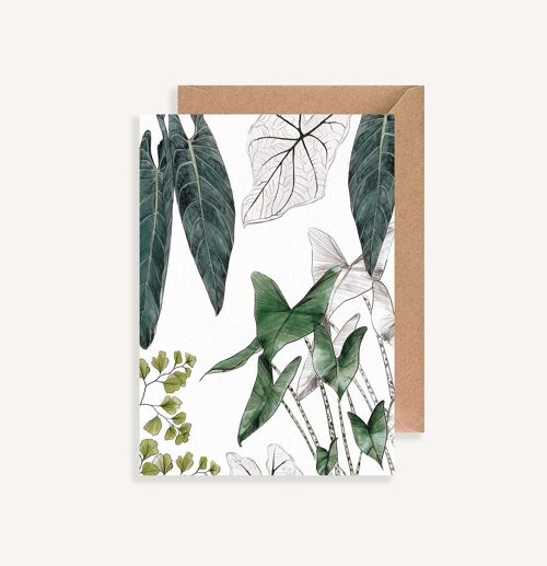 Carte postale illustrée - avec enveloppe - Les Plantes I