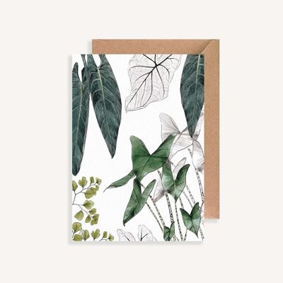 Illustrated postcard - with envelope - Les Plantes I