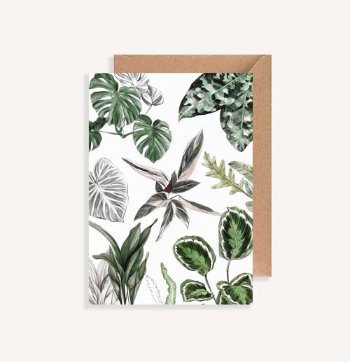 Carte postale illustrée - avec enveloppe - Les Plantes II