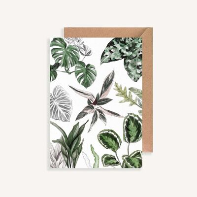 Illustrated postcard - with envelope - Les Plantes II