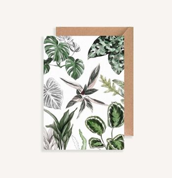 Carte postale illustrée - avec enveloppe - Les Plantes II 1