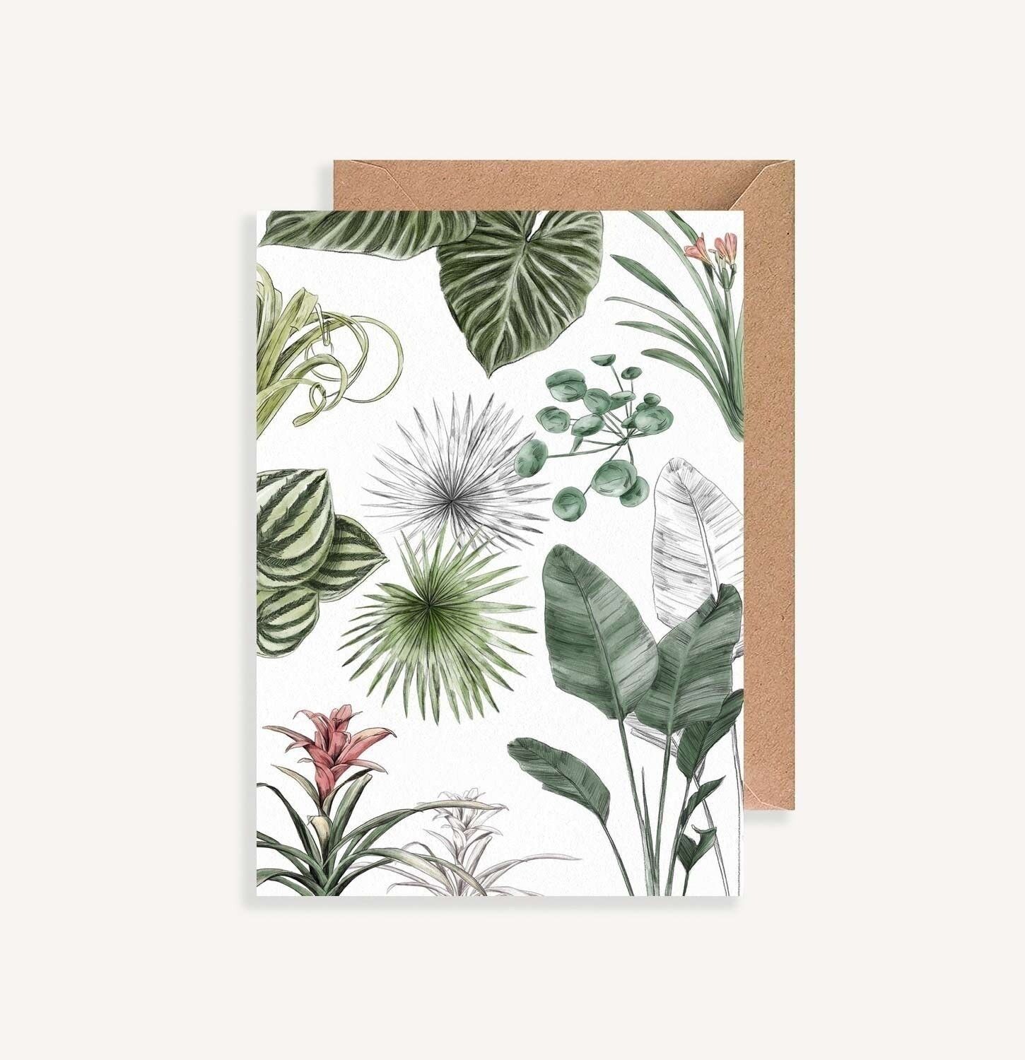 Cartolina illustrata - con busta - Les Plantes III