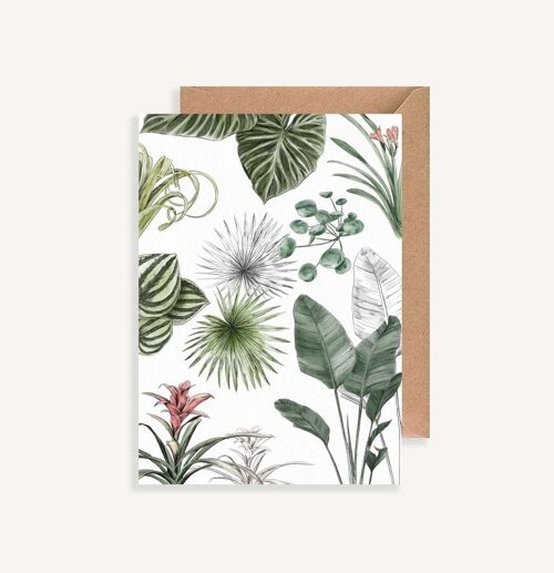 Carte postale illustrée - avec enveloppe - Les Plantes III