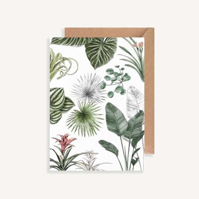 Illustrated postcard - with envelope - Les Plantes III