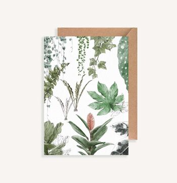 Carte postale illustrée - avec enveloppe - Les Plantes IV 1