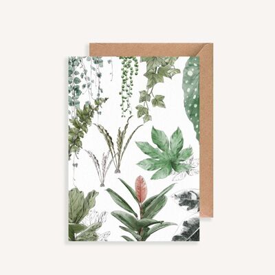 Carte postale illustrée - avec enveloppe - Les Plantes IV
