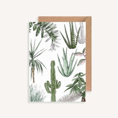 Illustrierte Postkarte - mit Umschlag - Les Plantes V