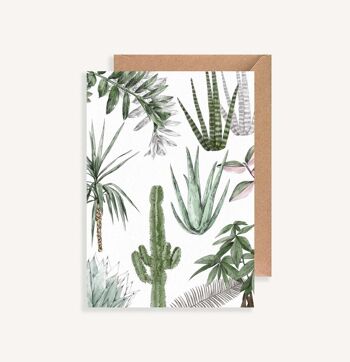 Carte postale illustrée - avec enveloppe - Les Plantes V 1