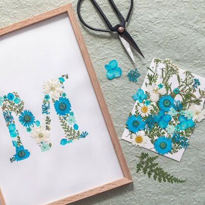 DIY blue alphabet herbarium kit