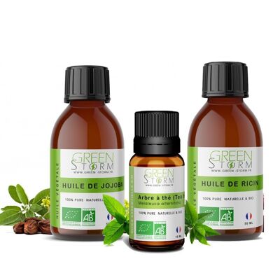 Hair shine care kit, vegetable oil of jojoba, castor and essential oil ylang Greenstorm