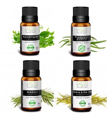 Lots 4 huiles essentielles  Arbre à thé, Niaouli, Eucalyptus globulus, Ravintsara 10ML