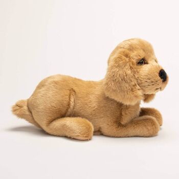 Mon chien théo cocker allongé - marron - moyen - 35 cm 2