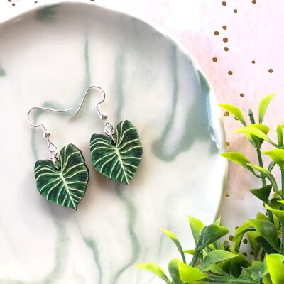 Heart Leaf Philodendron Plant Hook Earrings