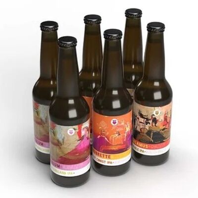 BDQ Beer Co. | IPA (gemischter Karton 12x33cl) | Bier