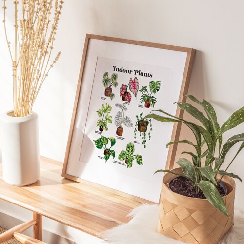 Indoor Plant A4 Art Print