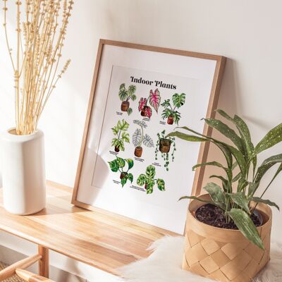 Zimmerpflanze A4 Kunstdruck