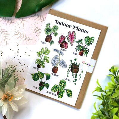 Indoor Plant Species Card