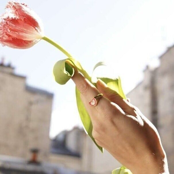 Anello in Acciaio Anello con Castone Cuore Vassoio Colori Smaltati
