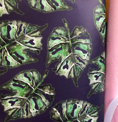 Monstera Leaf Wrapping Paper (5 Rolled Up Sheets)